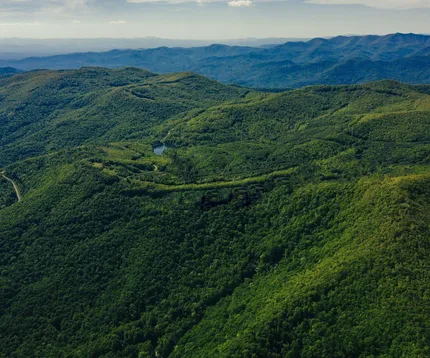 Adika Bawum (High elevation)