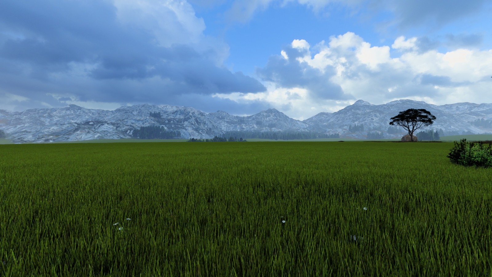 Mada Bawum (Lowland)